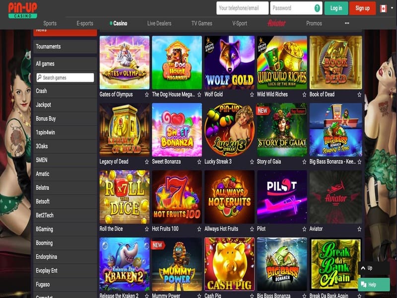 Brief Particulars of the Pin-Up Online Casino